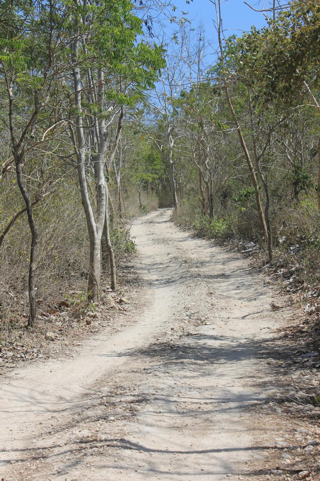 Jeeva Beloam Beach Camp Tanjung Ringgit Dış mekan fotoğraf